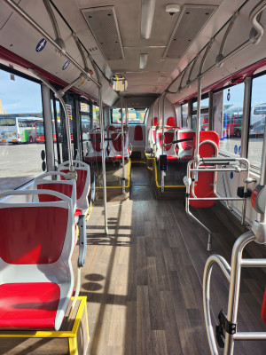 Sistema de barras y asideros para ayudar en el acceso y abandono del autobús a pasajeros en silla de ruedas, escúteres, movilidad reducida y discapacidad.