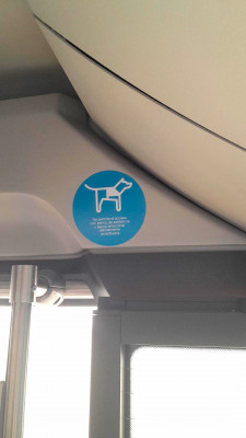Pictograma per a l'acceptació que les persones cegues poden viatjar acompanyades del seu gos pigall i les que tinguen altres discapacitats, amb el seu gos d'assistència degudament acreditat.