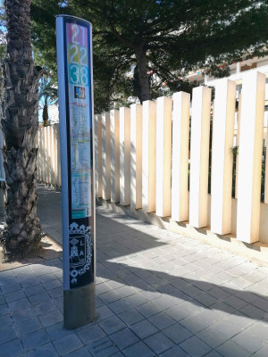 Caracteres de identificación